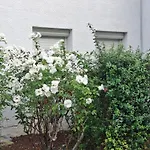 Raphaelle #4 Centre Avec Parking