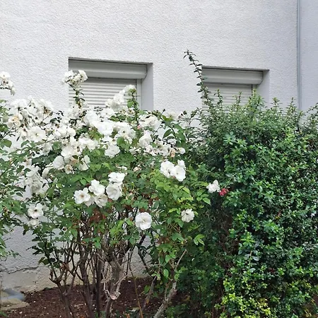 Raphaelle #4 Centre Avec Parking